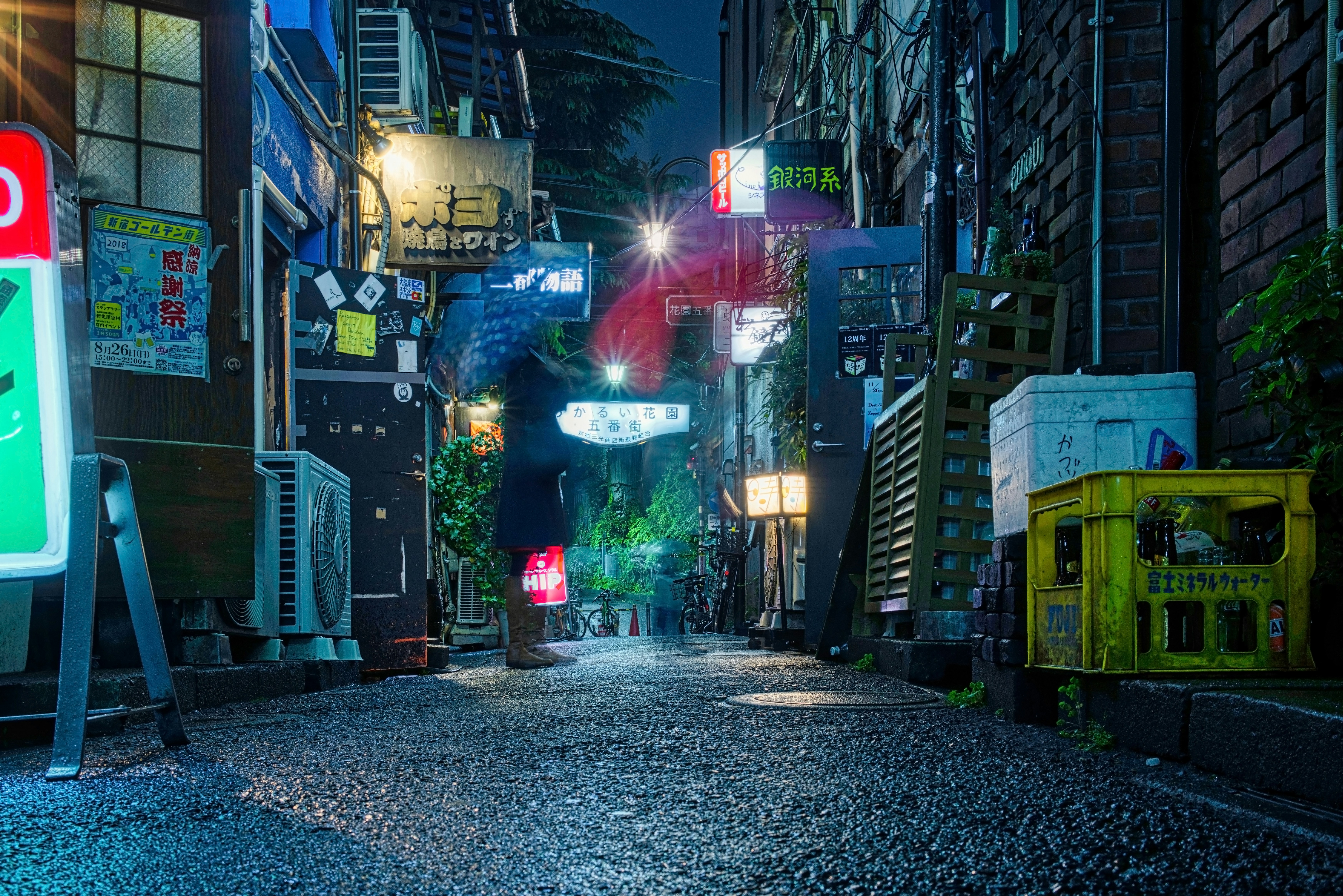 Tokyo street at night - ネオンきらめく繁華街