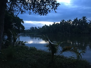 A peaceful lakeside view at dusk with soft lights twinkling in the distance