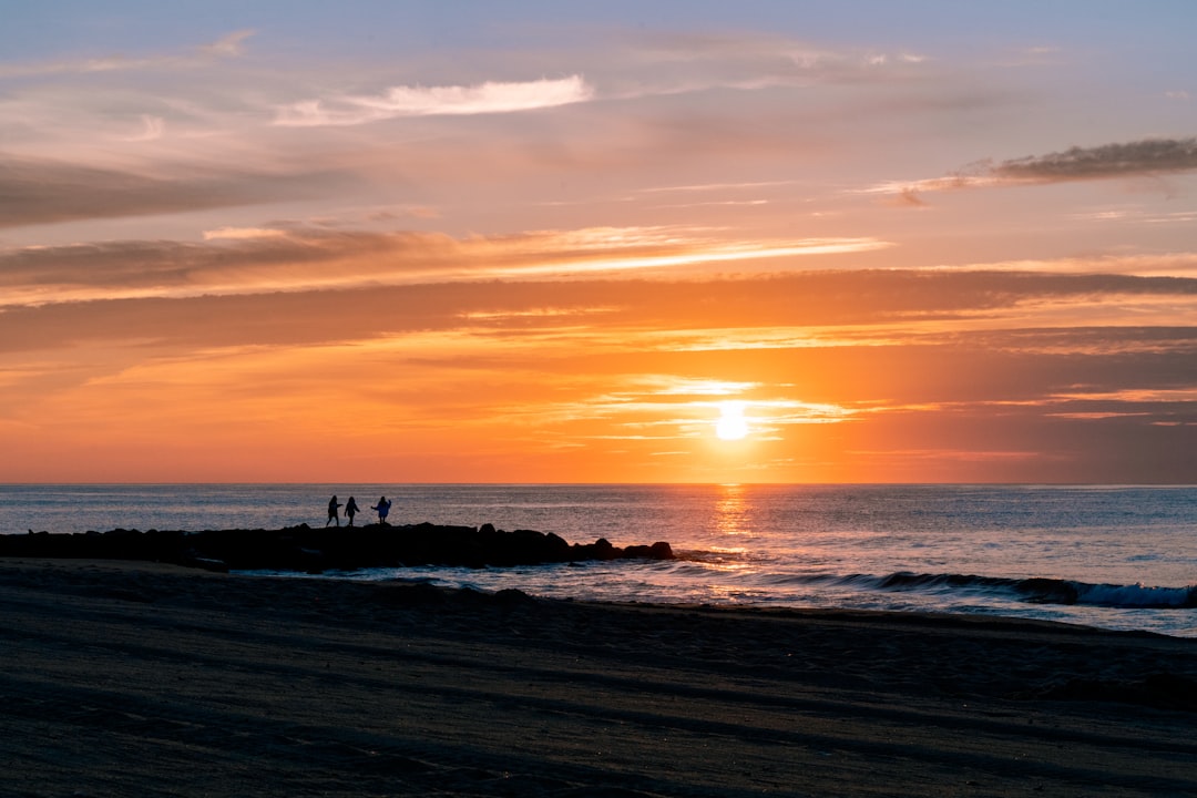 silhouette of people on beach during sunset