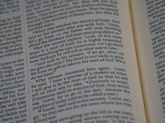 A close-up view of an open book displaying a passage of text. The text is printed in a well-defined serif font and arranged in a two-column layout. The right-hand page is partially visible, and it appears that the book is in English.