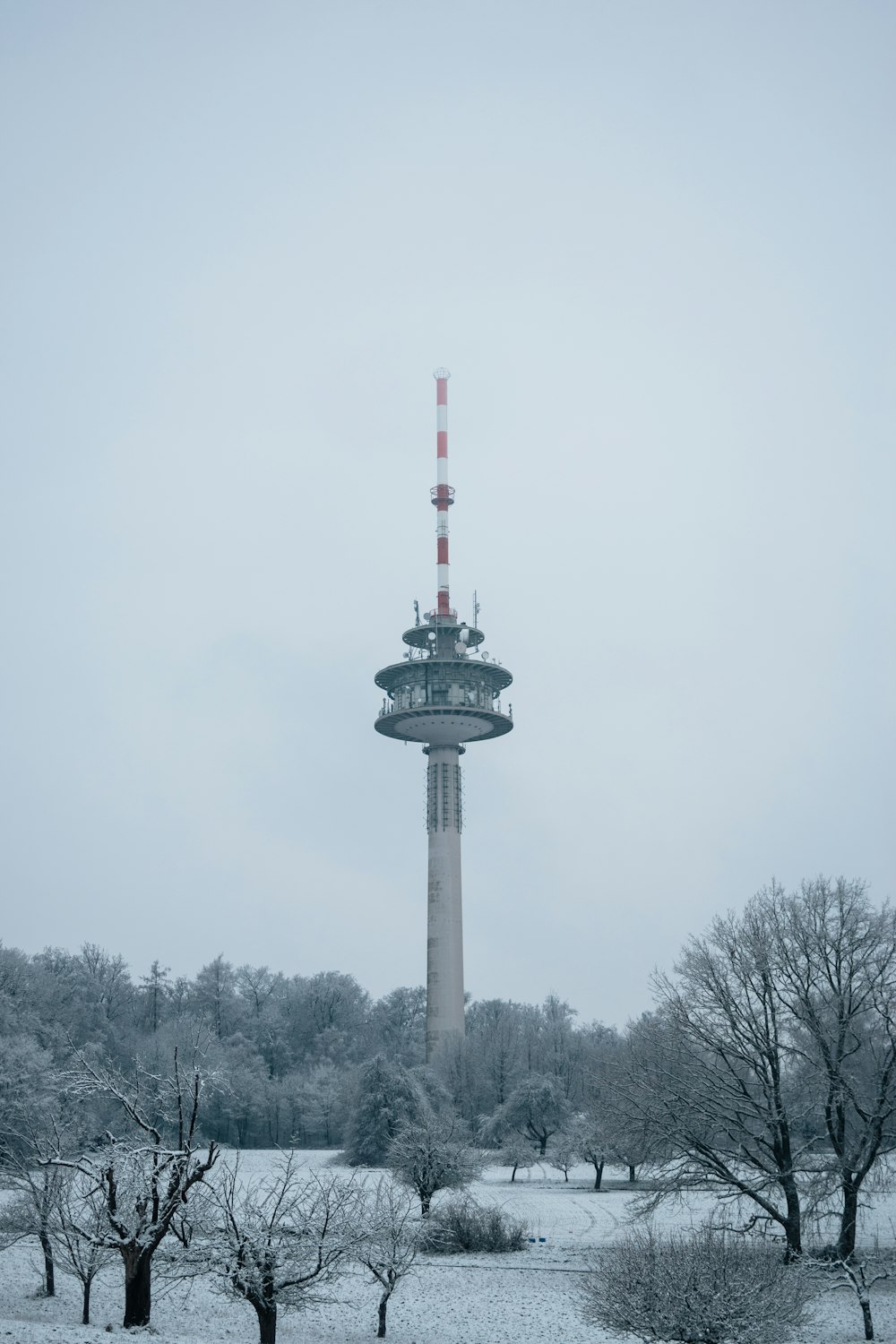 black and white tower surrounded by trees