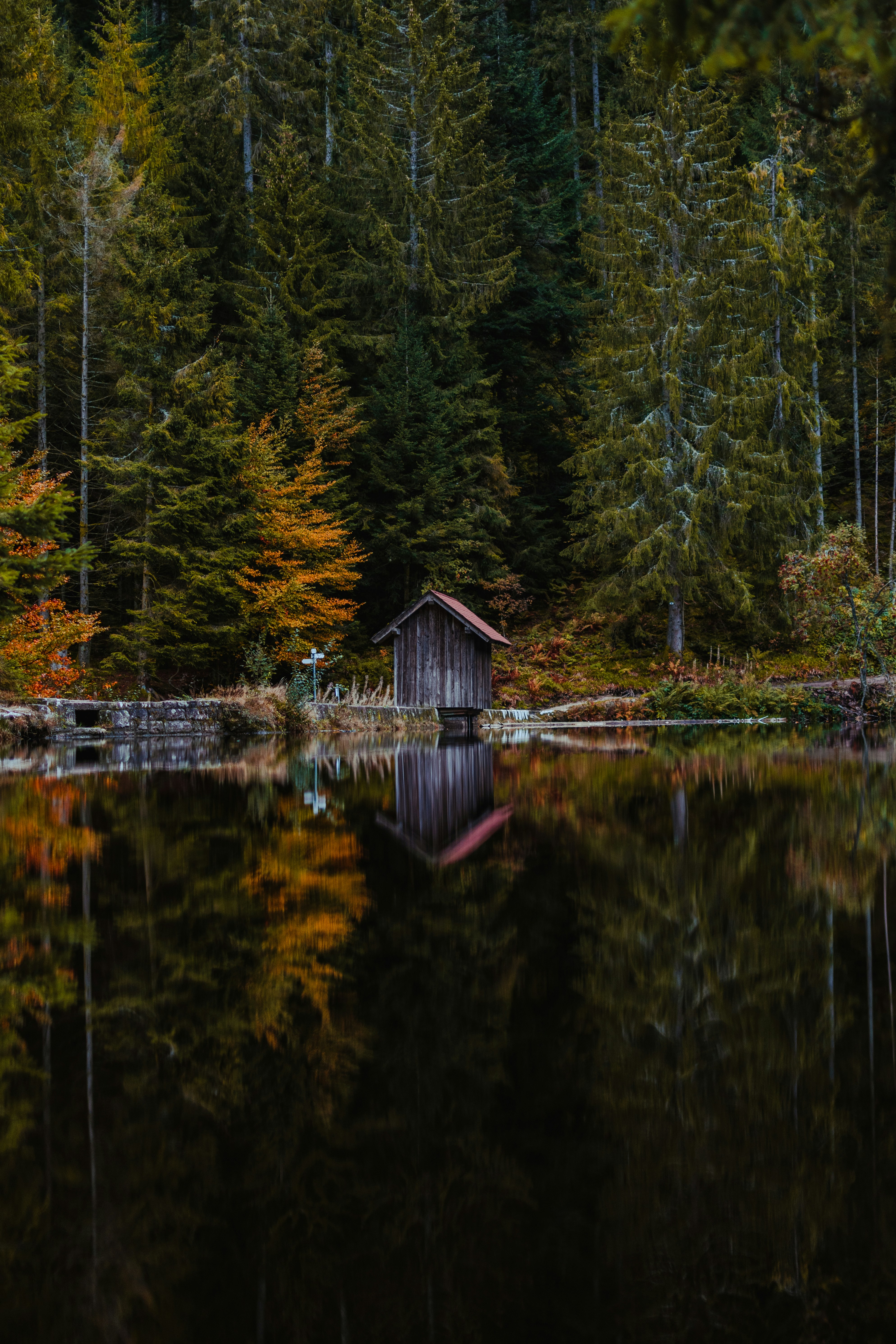 Emily Dickinson, "Because I could not stop for Death"