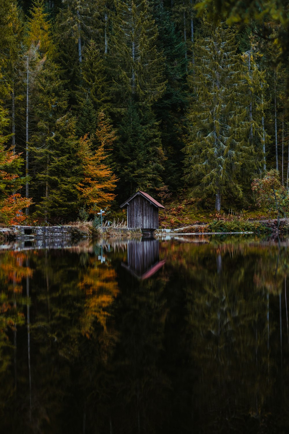 brown wooden house on lake during daytime