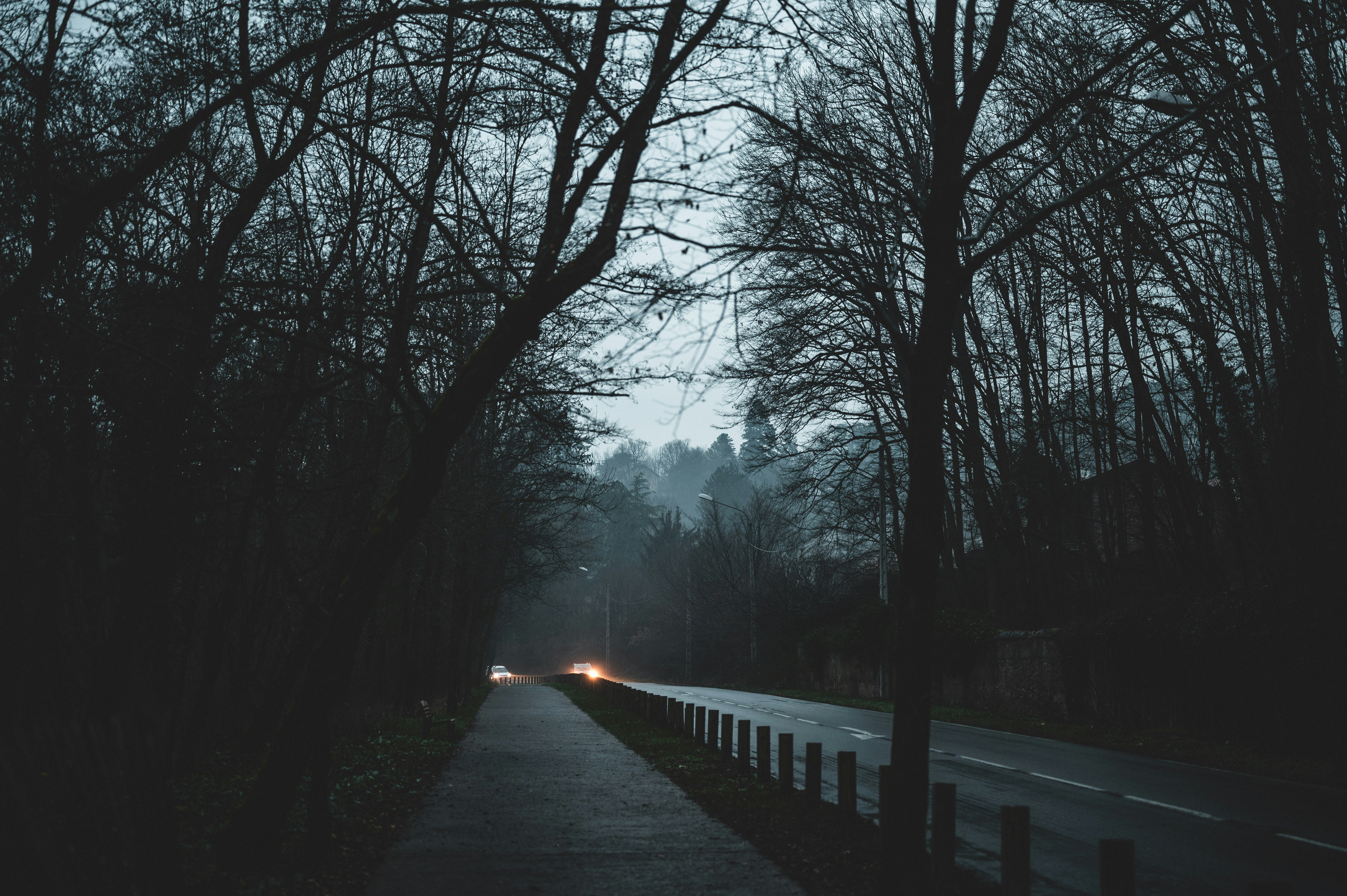 Photo by andreasbrun