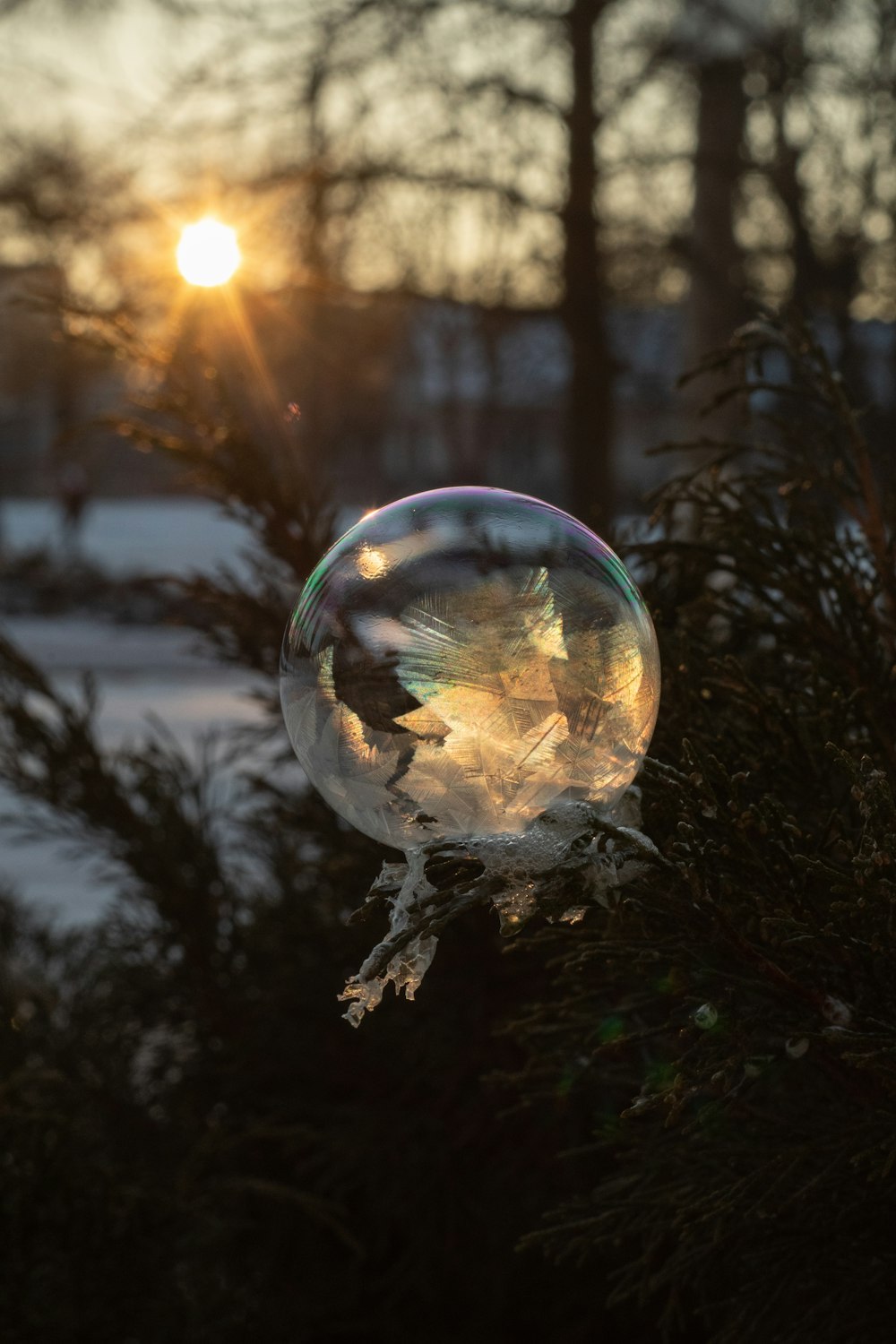 clear glass ball on green grass during sunset