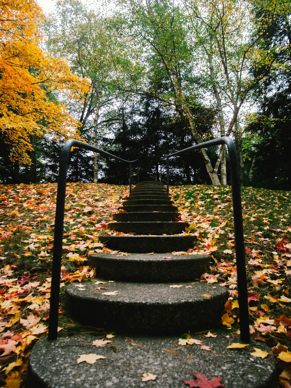 black concrete staircase with brown leaves on top