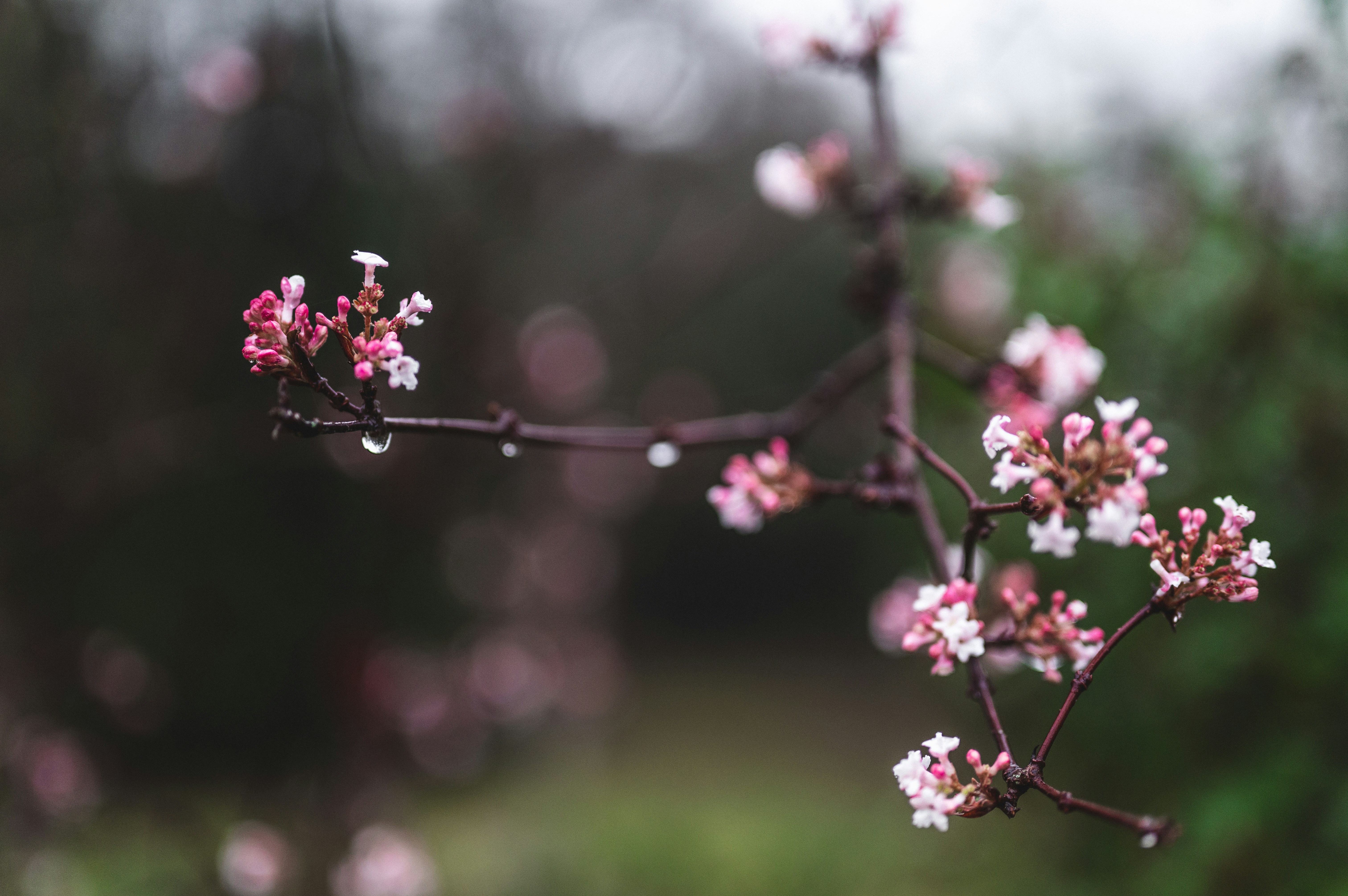 Photo by andreasbrun