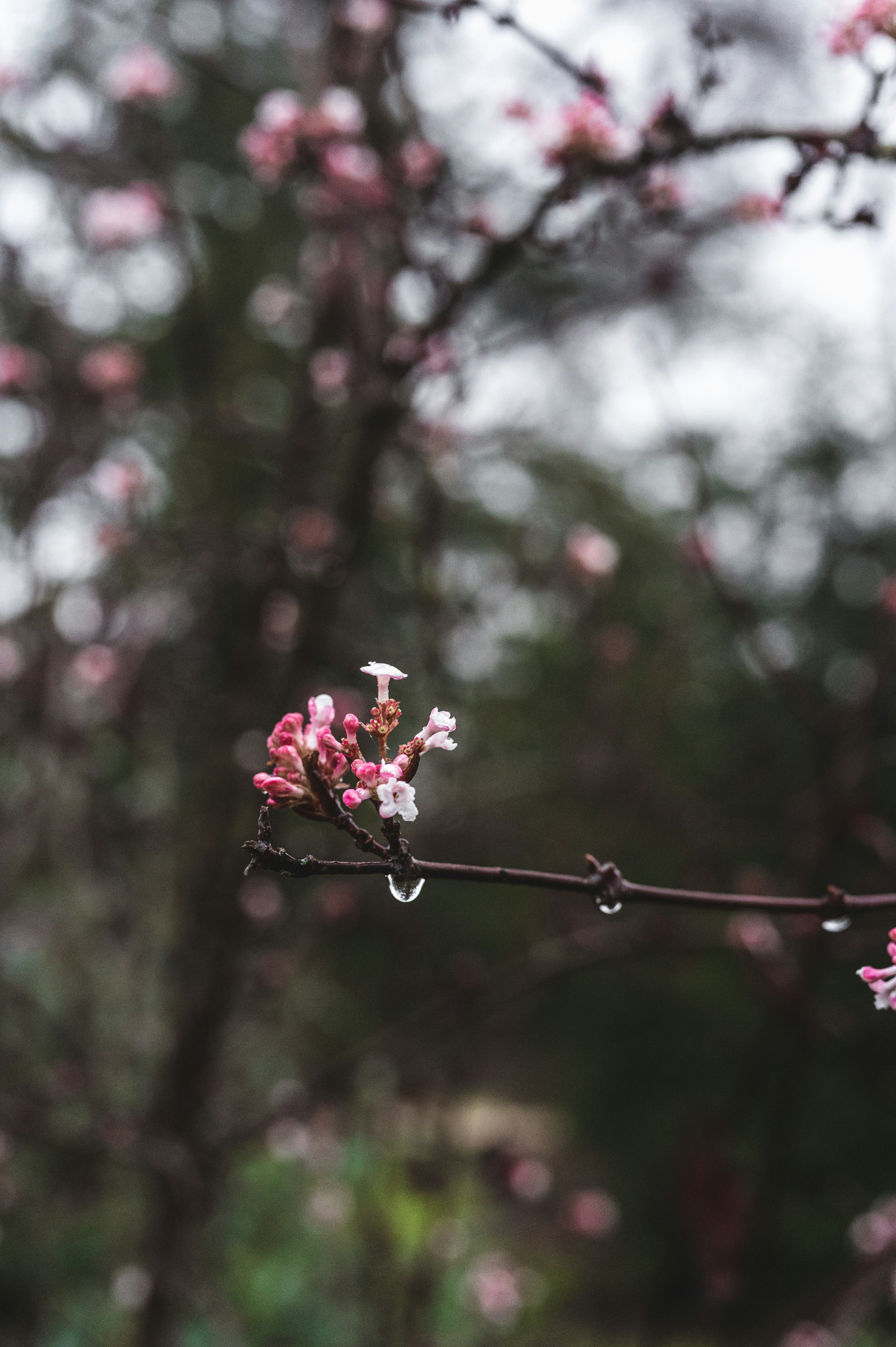 Photo by andreasbrun