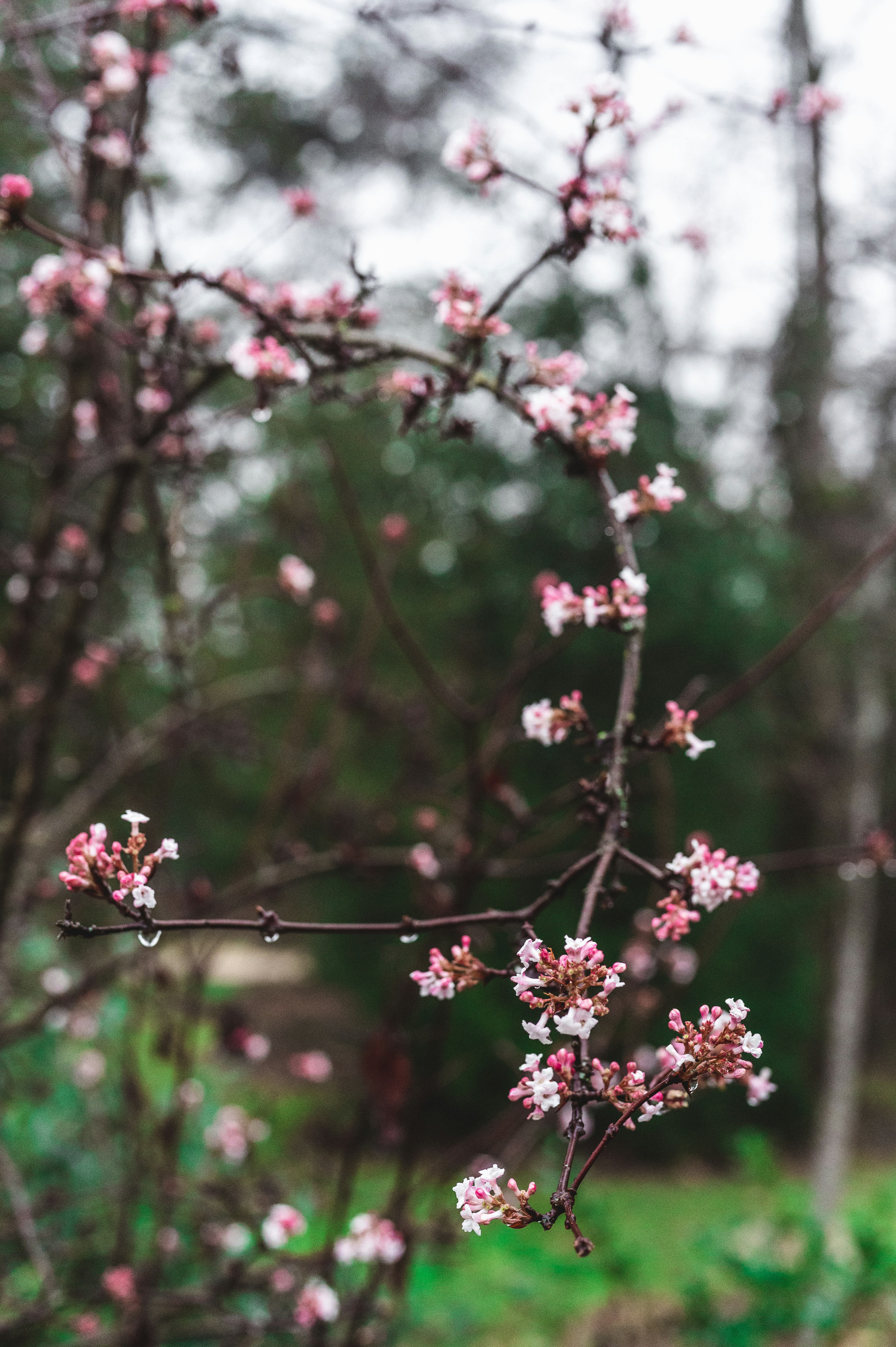 Photo by andreasbrun