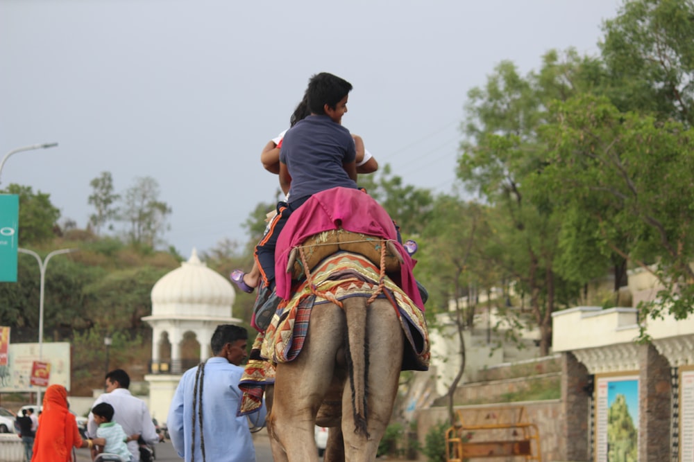 Menschen, die tagsüber auf braunen Pferden reiten