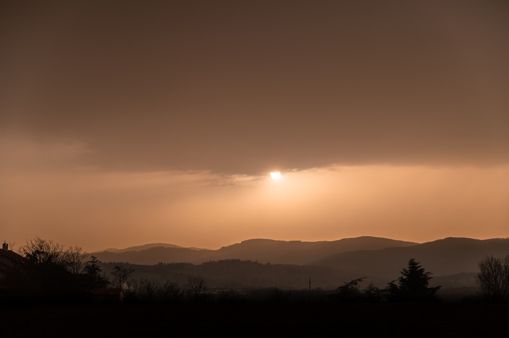 silhouette of trees during sunset