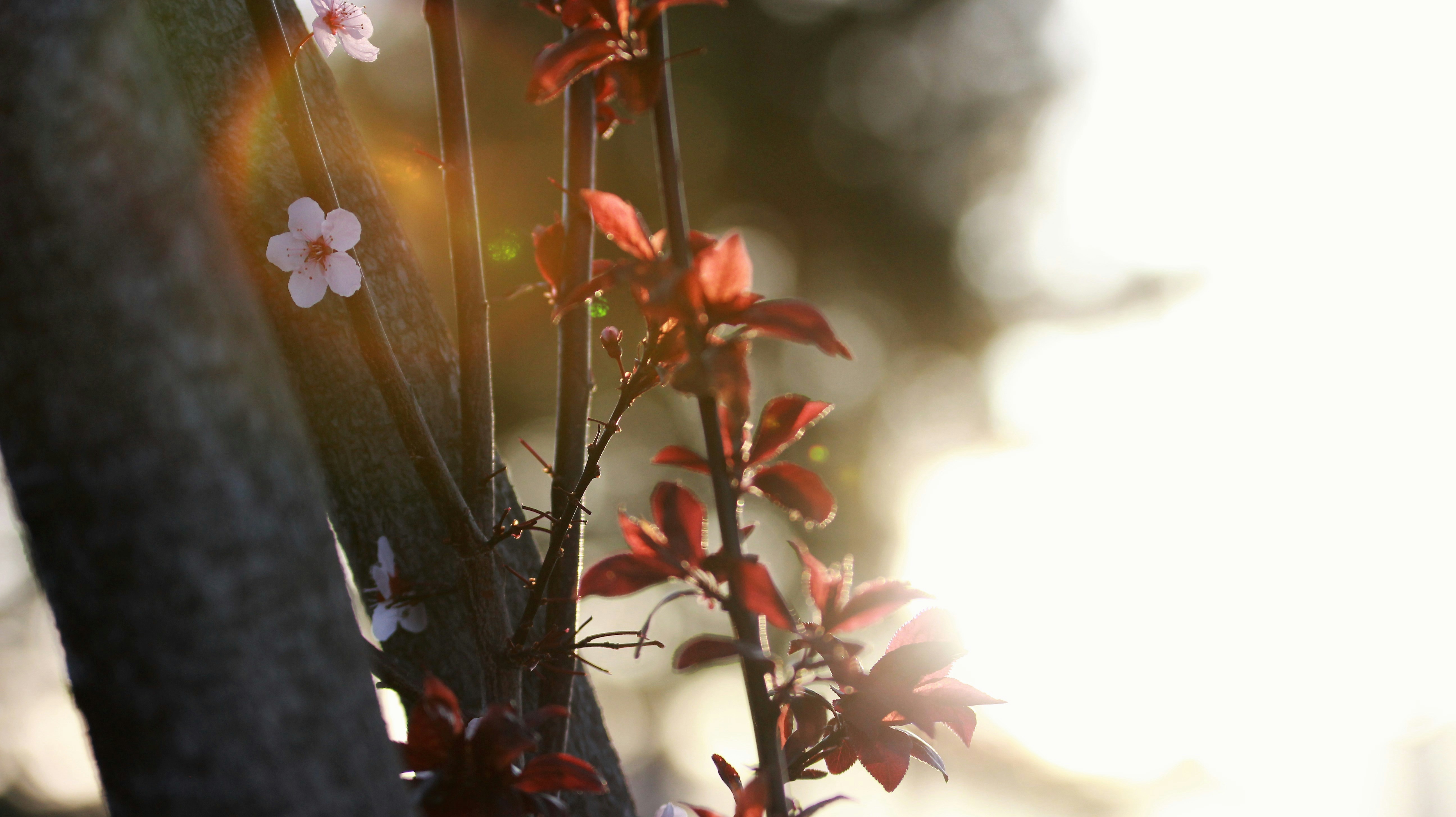 Photo by kcwinstead1