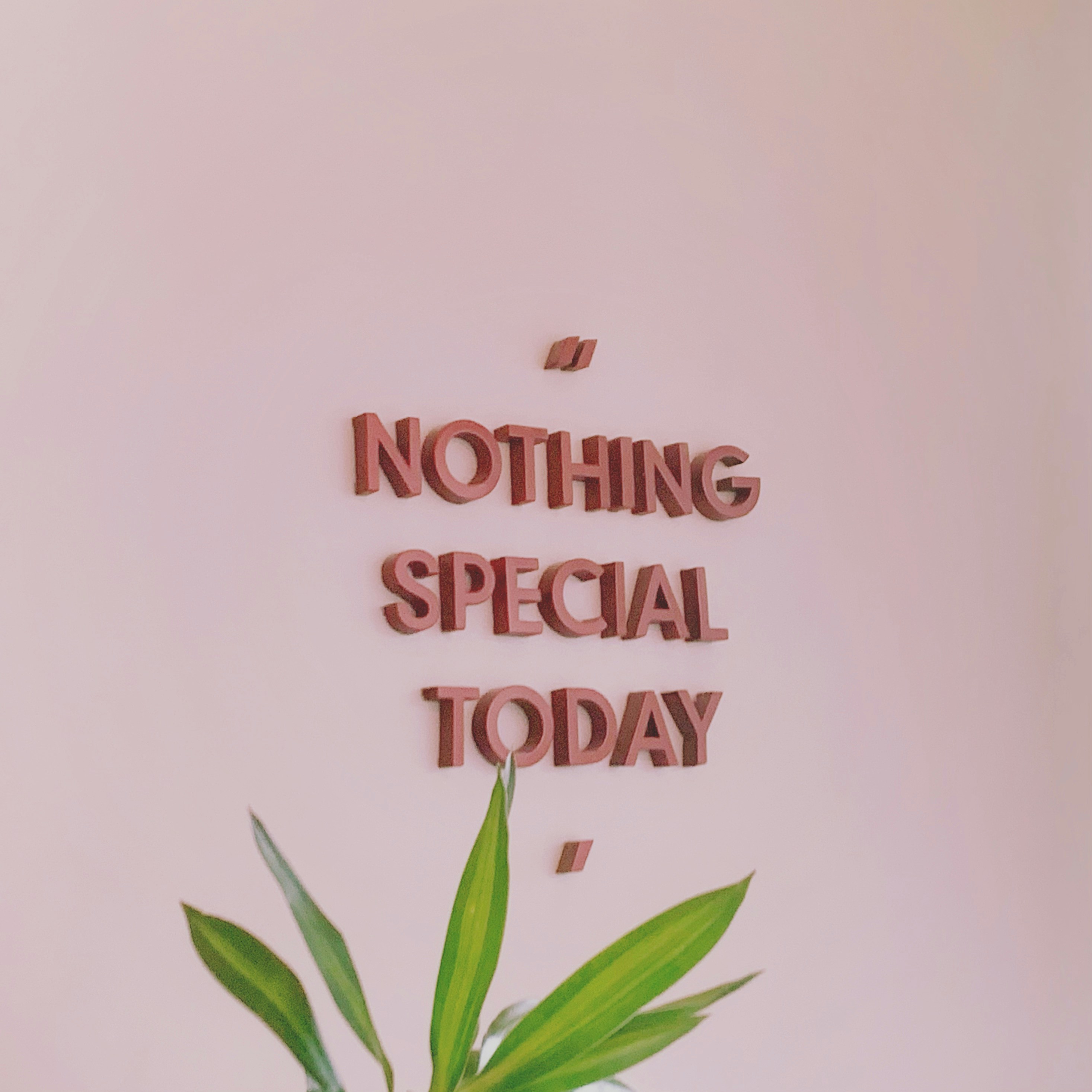 a picture of a vase with a plant in it