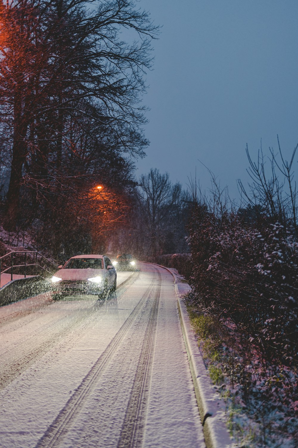 white car on road between trees during night time