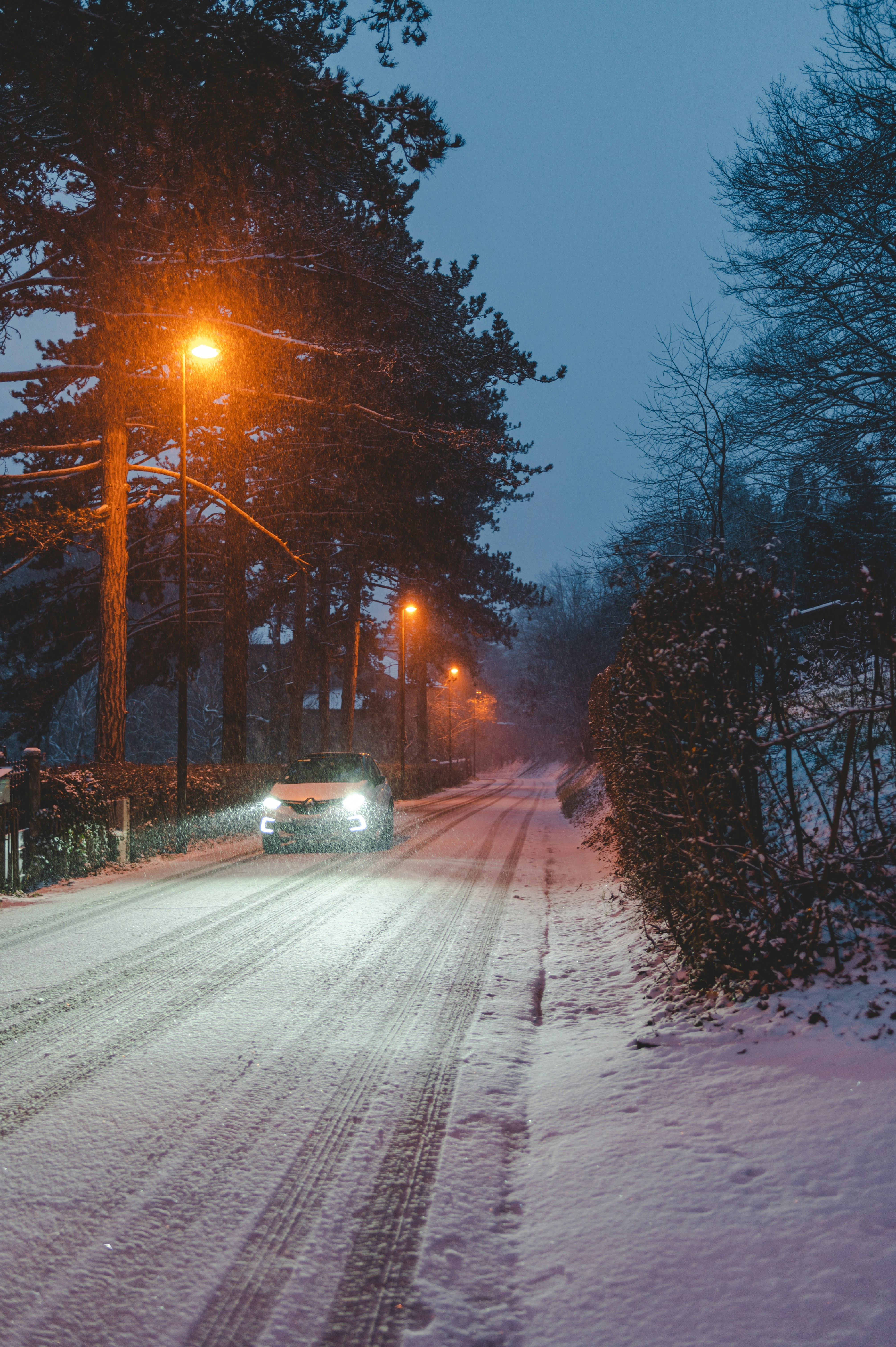 Photo by andreasbrun