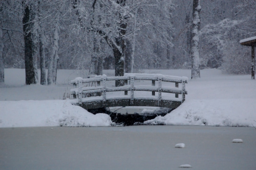 white wooden bench covered with snow