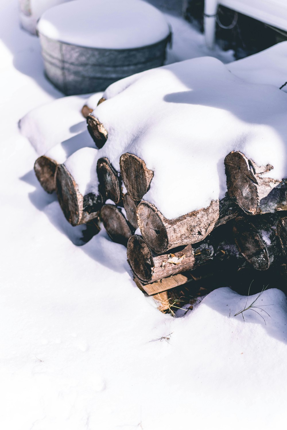 brown tree log covered with snow