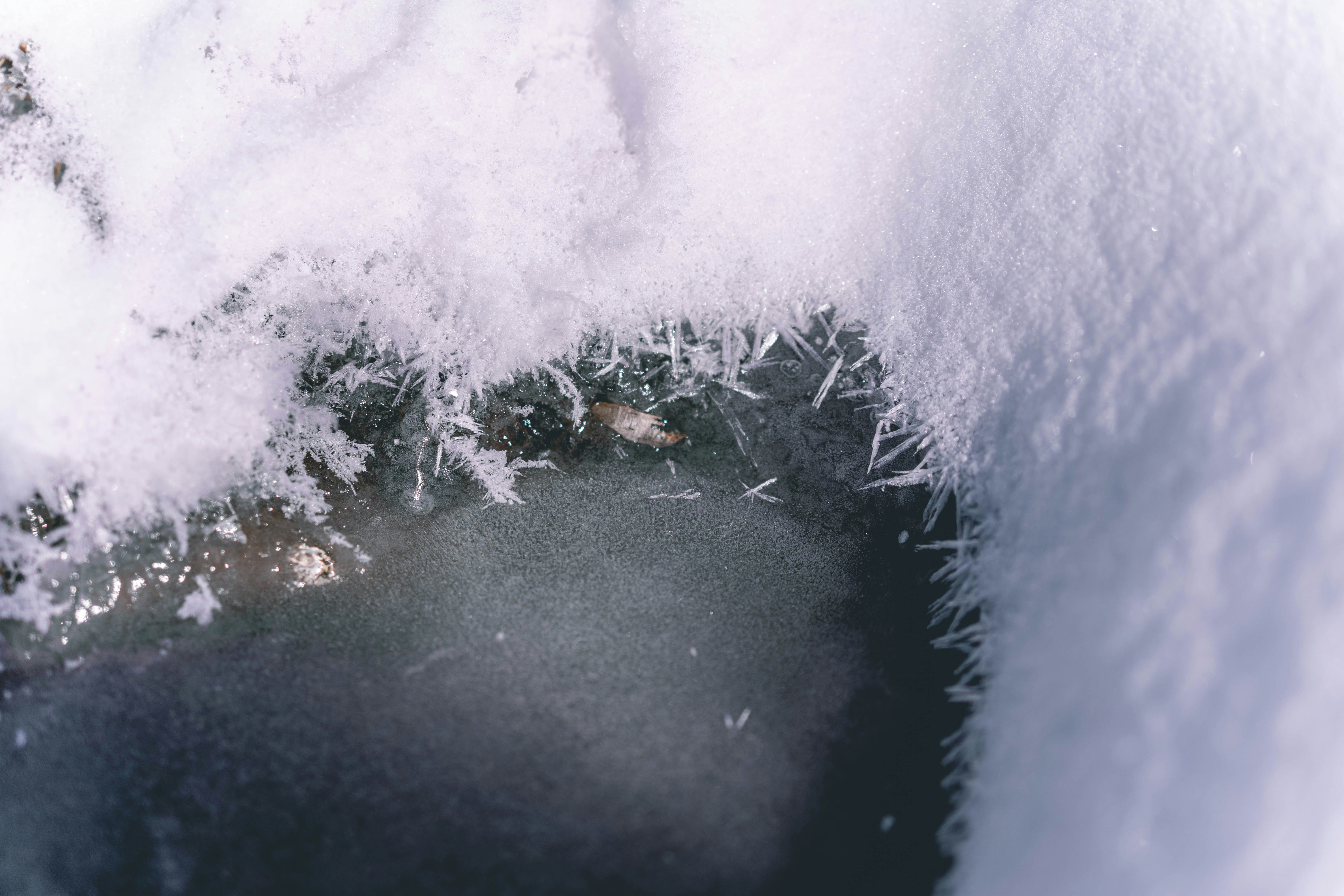 Photo by austin__ramsey