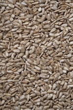 brown and black dried leaves