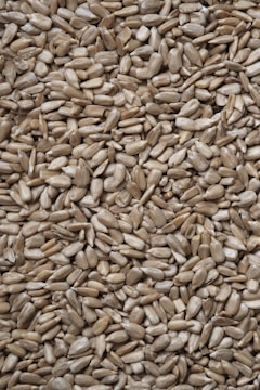 brown and black dried leaves