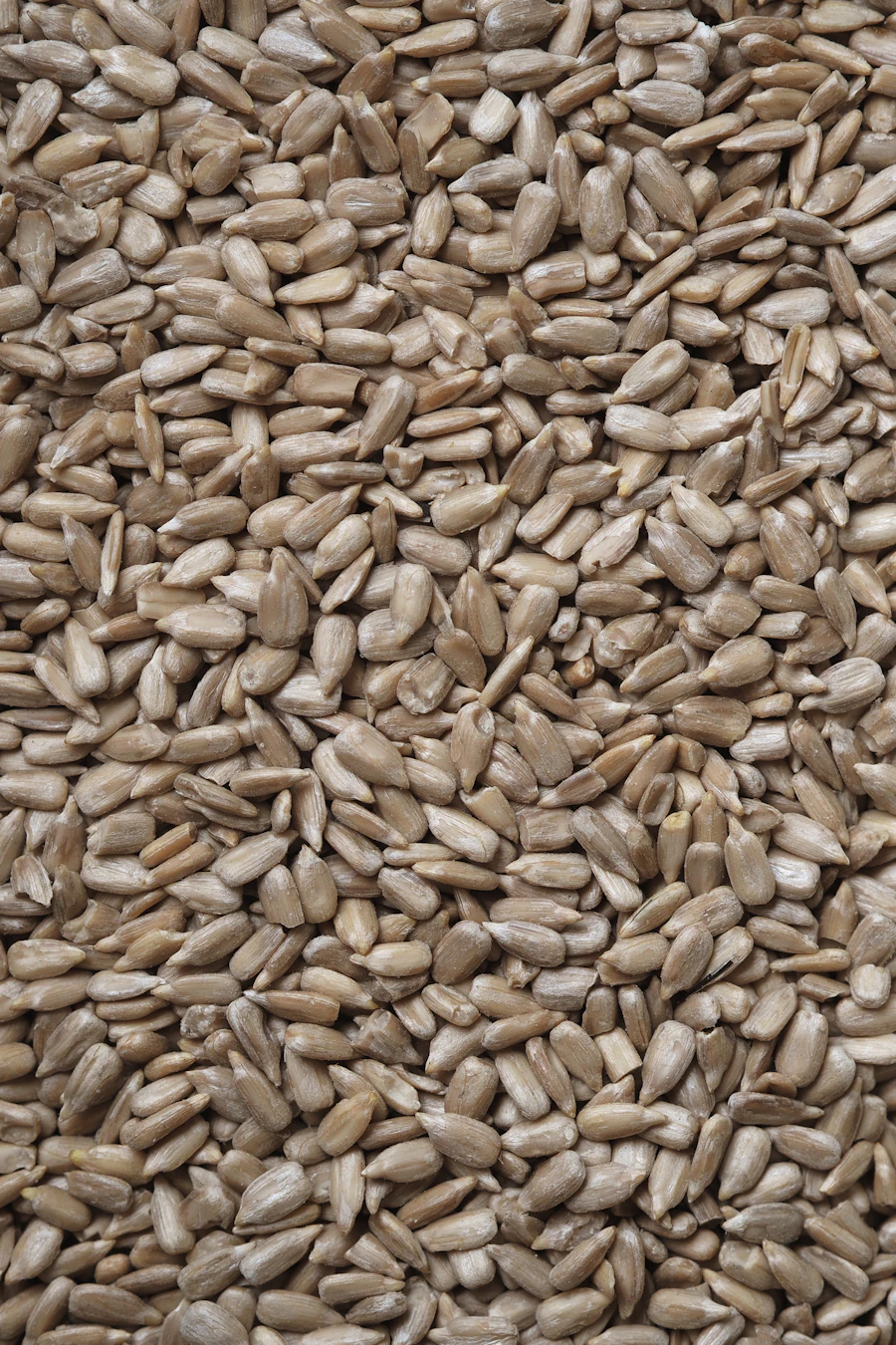 Sunflower Seeds