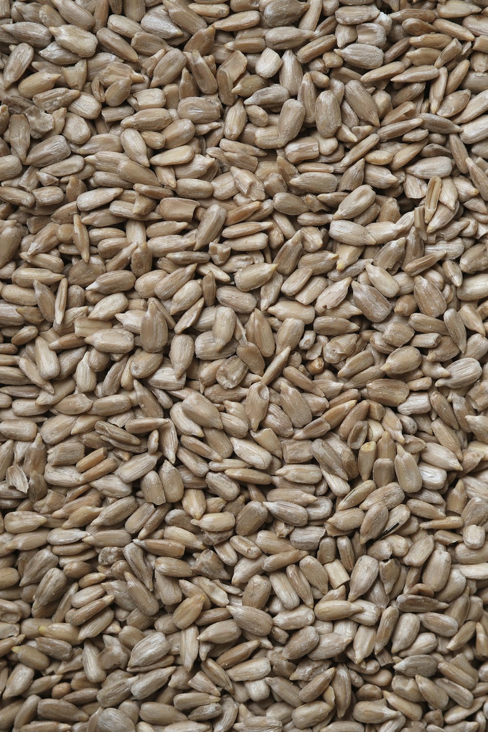 brown and black dried leaves