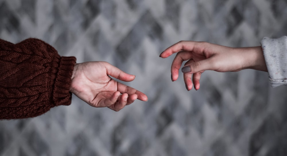 person holding brown dried leaf