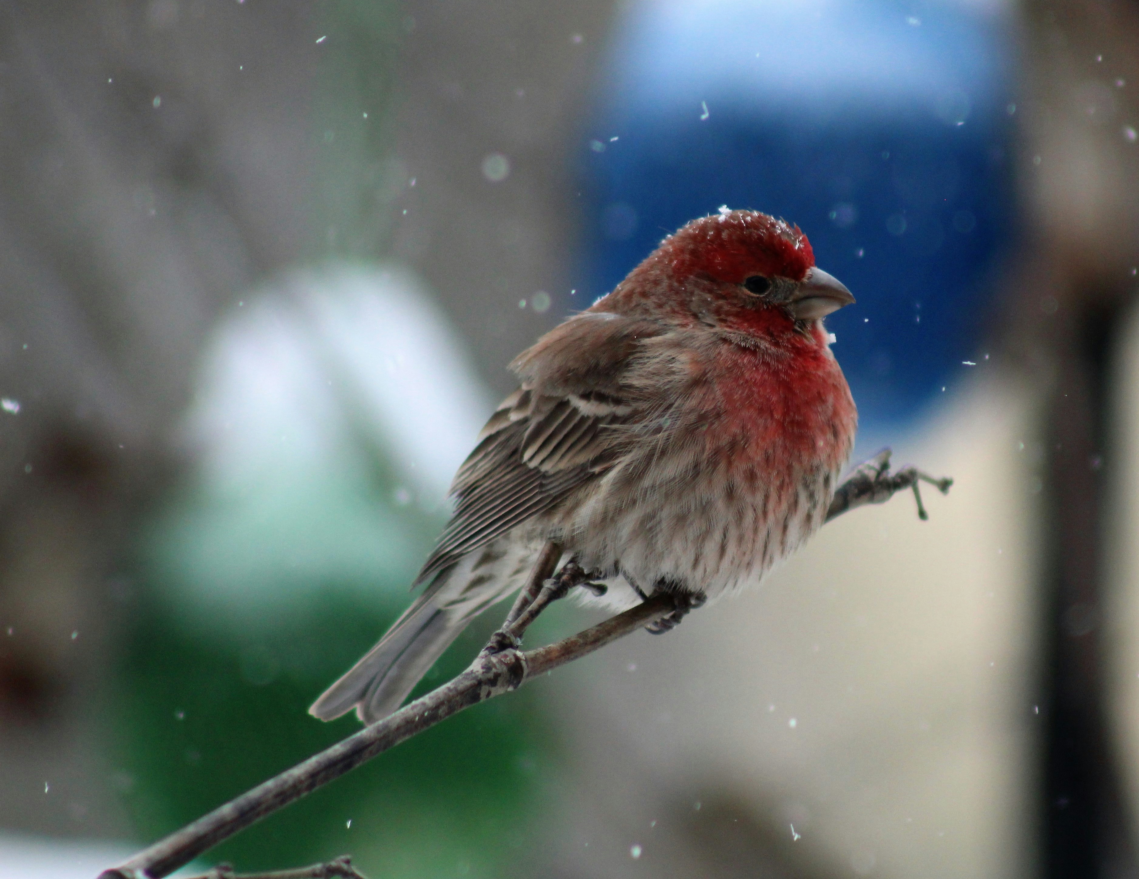 Photo by arkansas007