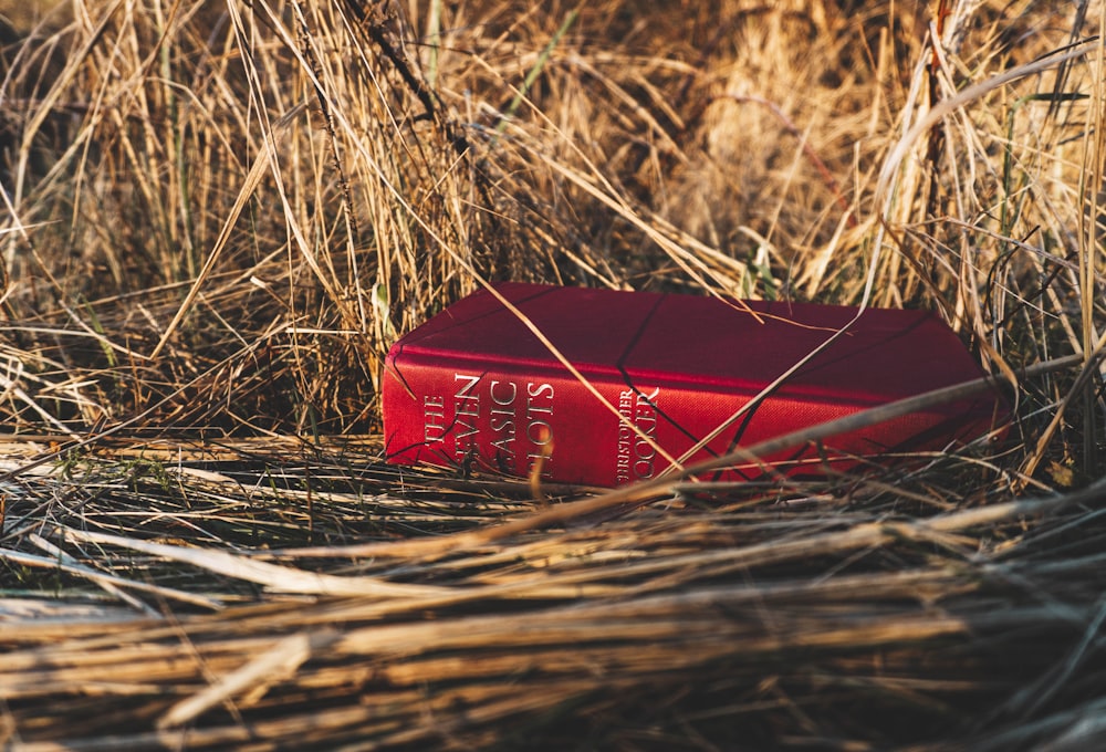 red and white labeled book on brown dried grass