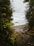 A secluded beach framed by lush green foliage with a view of the ocean and a rocky outcrop in the distance. The sandy shore is interspersed with pebbles and driftwood, and a small stream flows towards the sea.