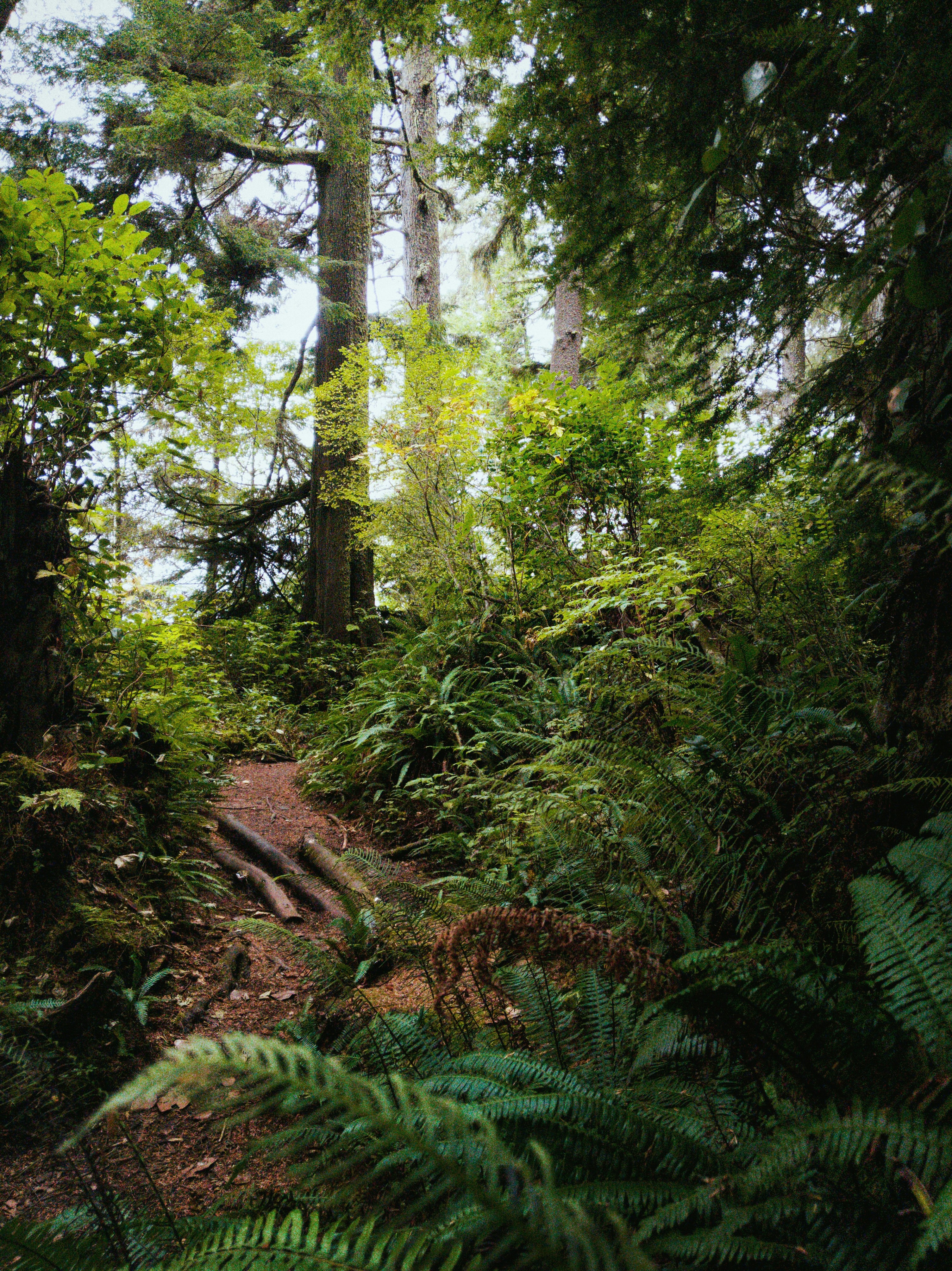 Photo by landonparenteau