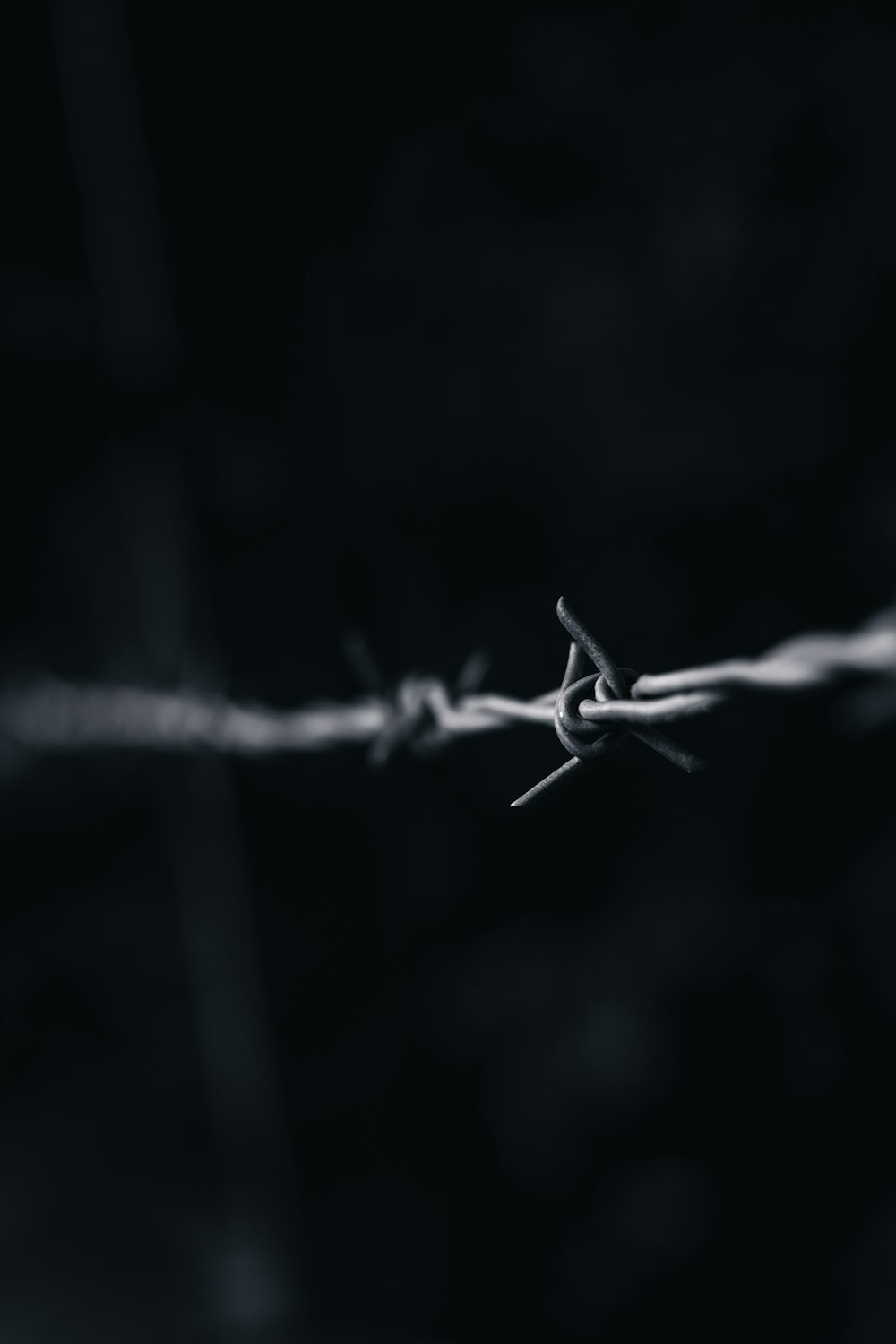 Foto en escala de grises de Barbwire