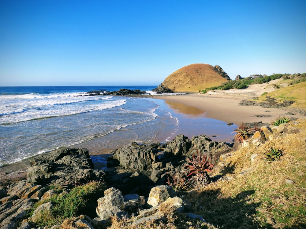 green and brown rock formation on sea shore during daytime