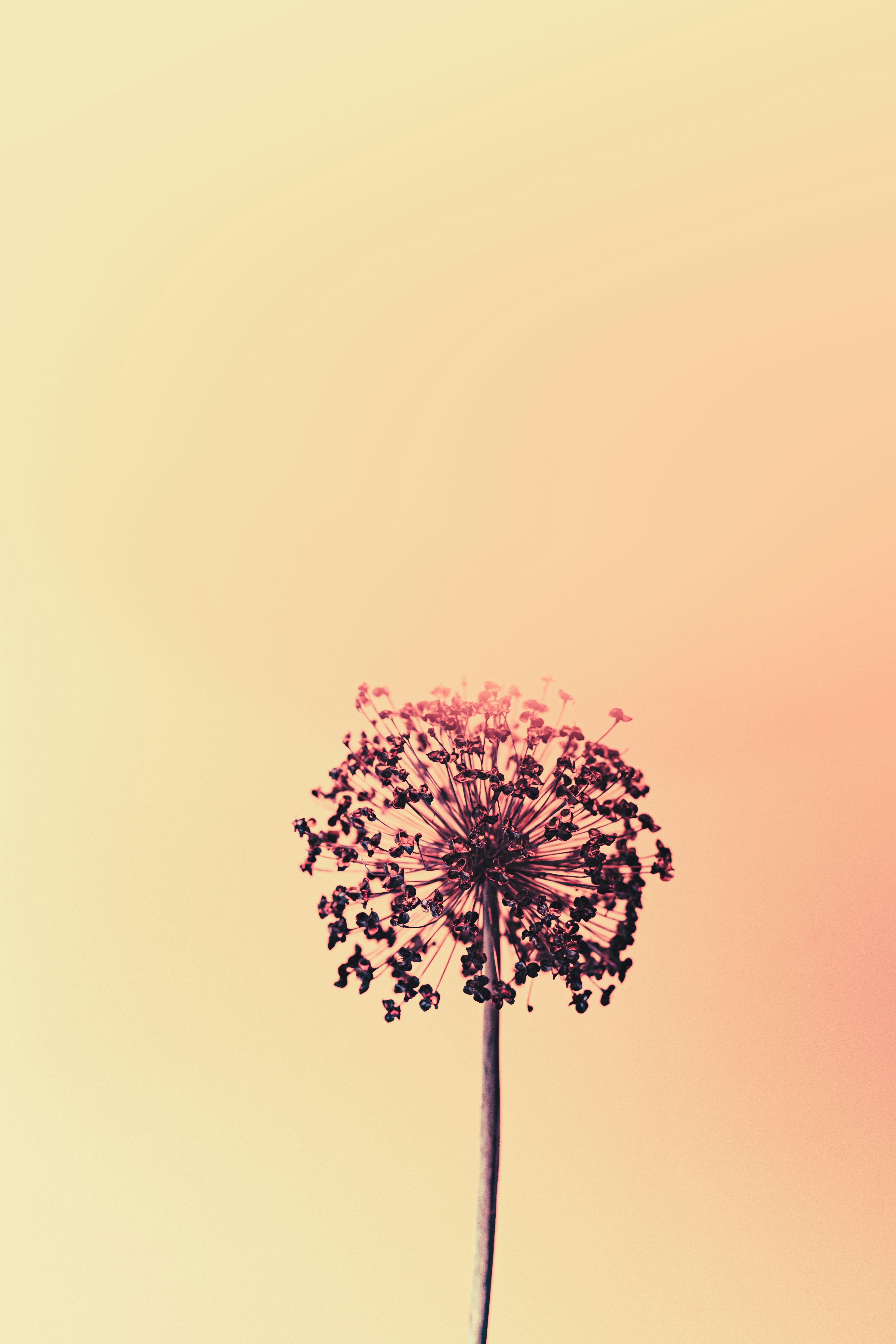 Photo by marekpiwnicki