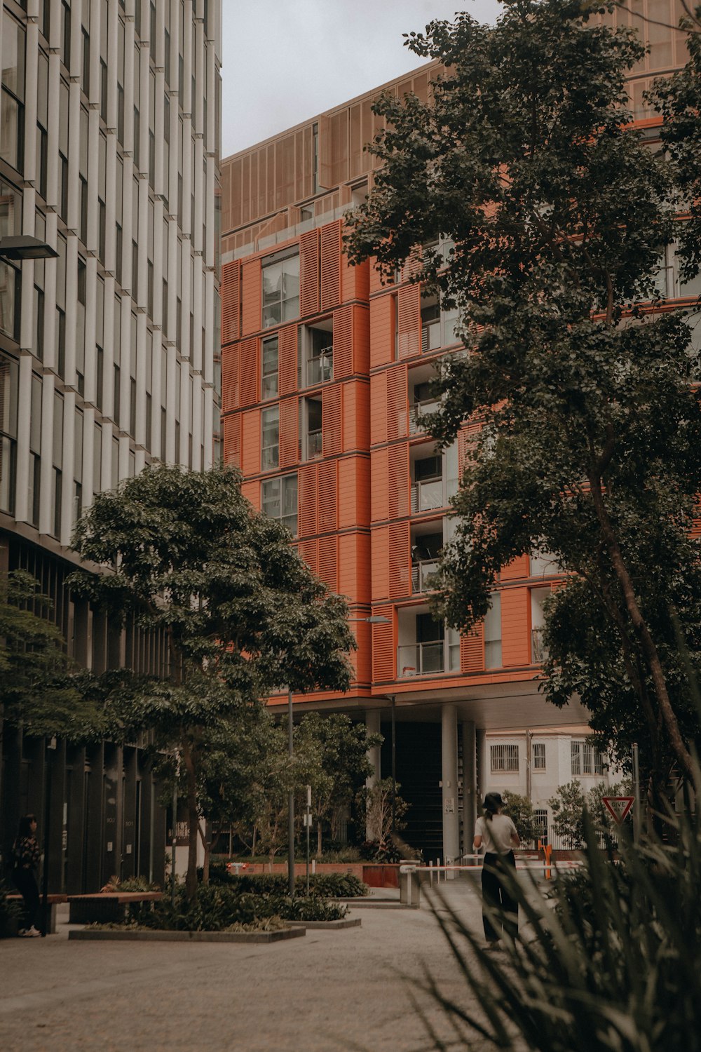 brown and white concrete building