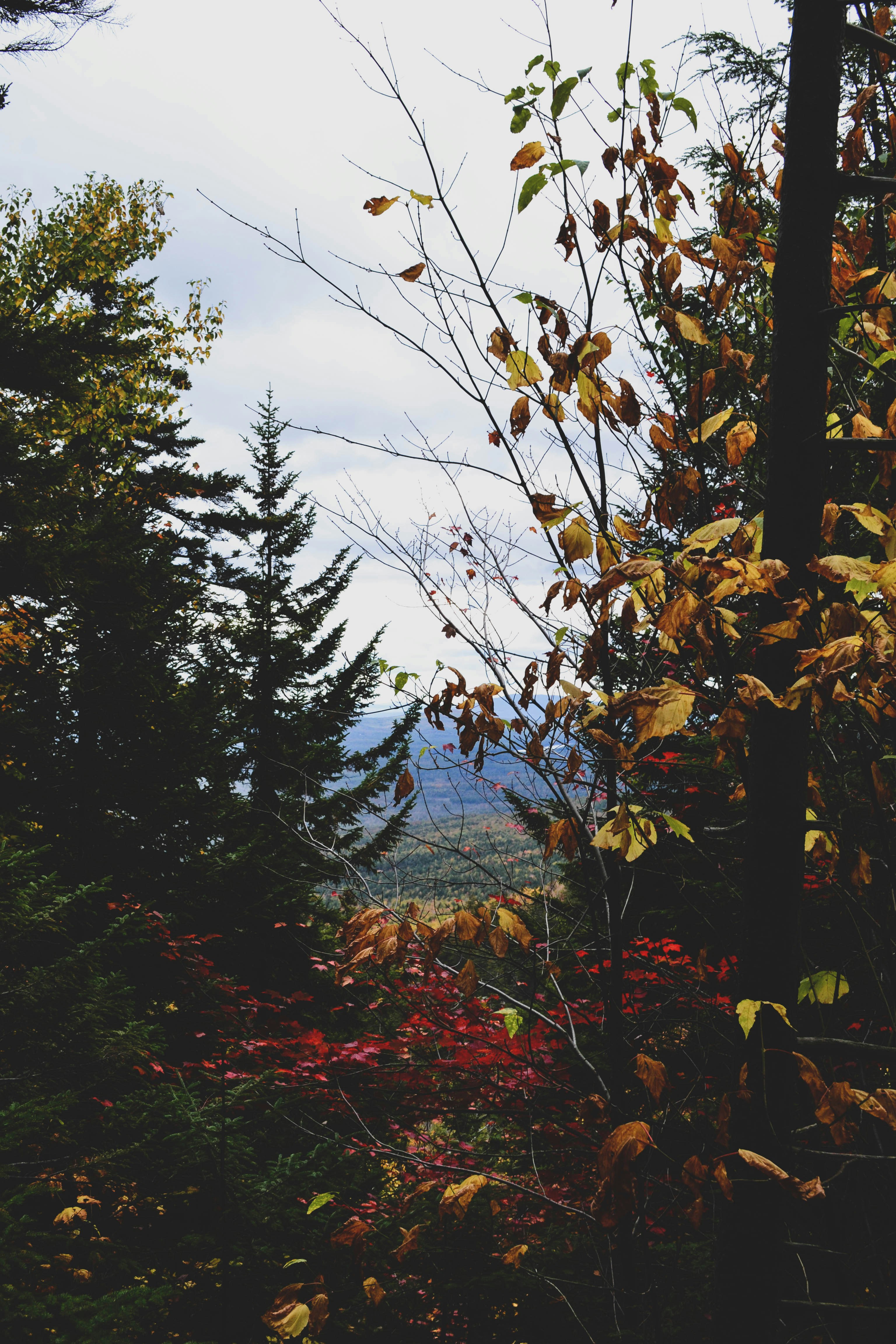 Photo by kwatrak