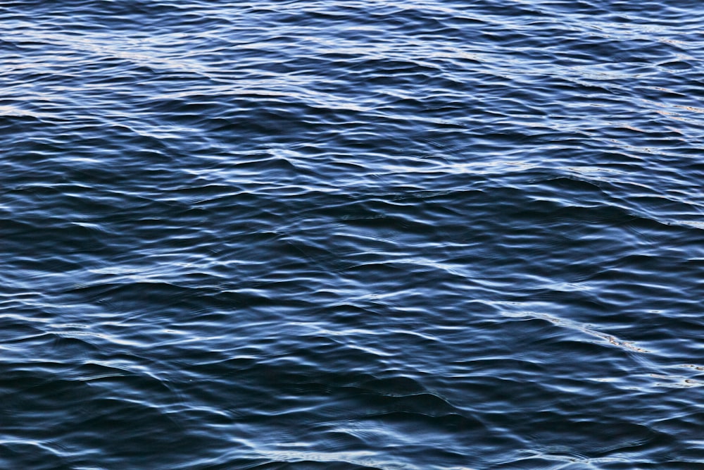 blue sea water during daytime