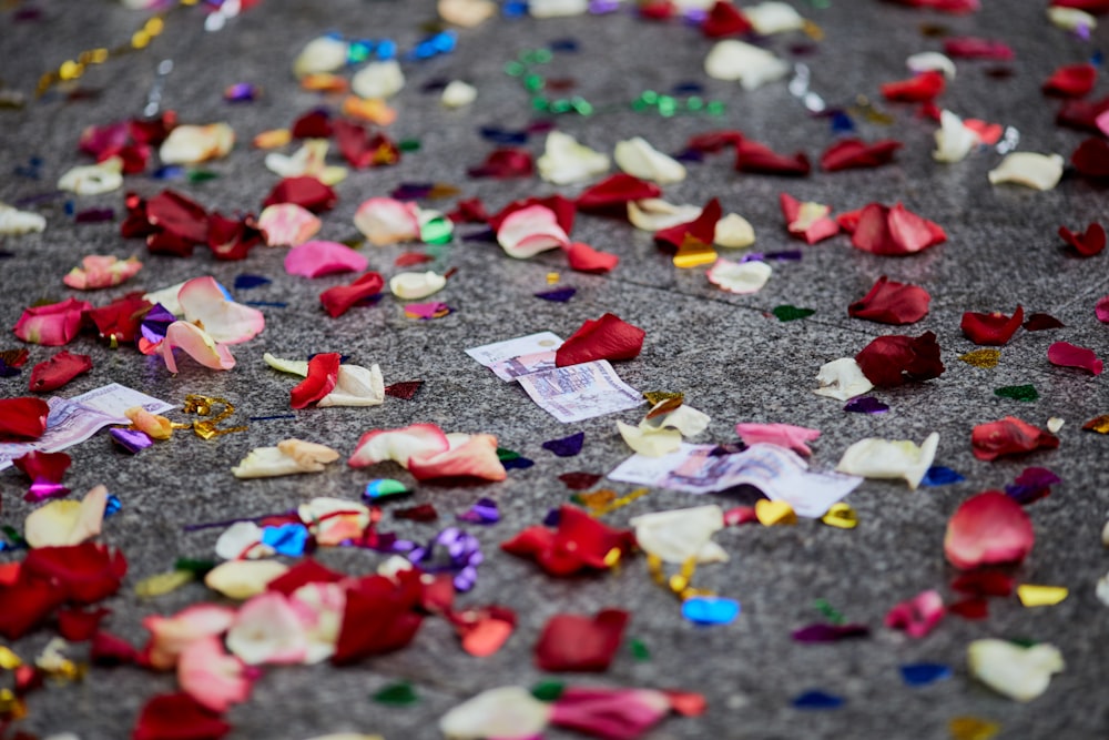 red white and yellow petals on gray concrete floor