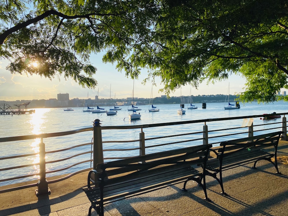 brown wooden bench near body of water during daytime