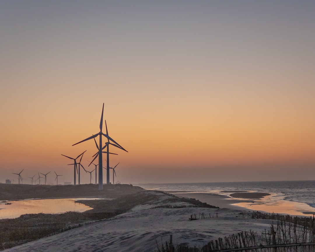 wind turbines on seashore during sunset