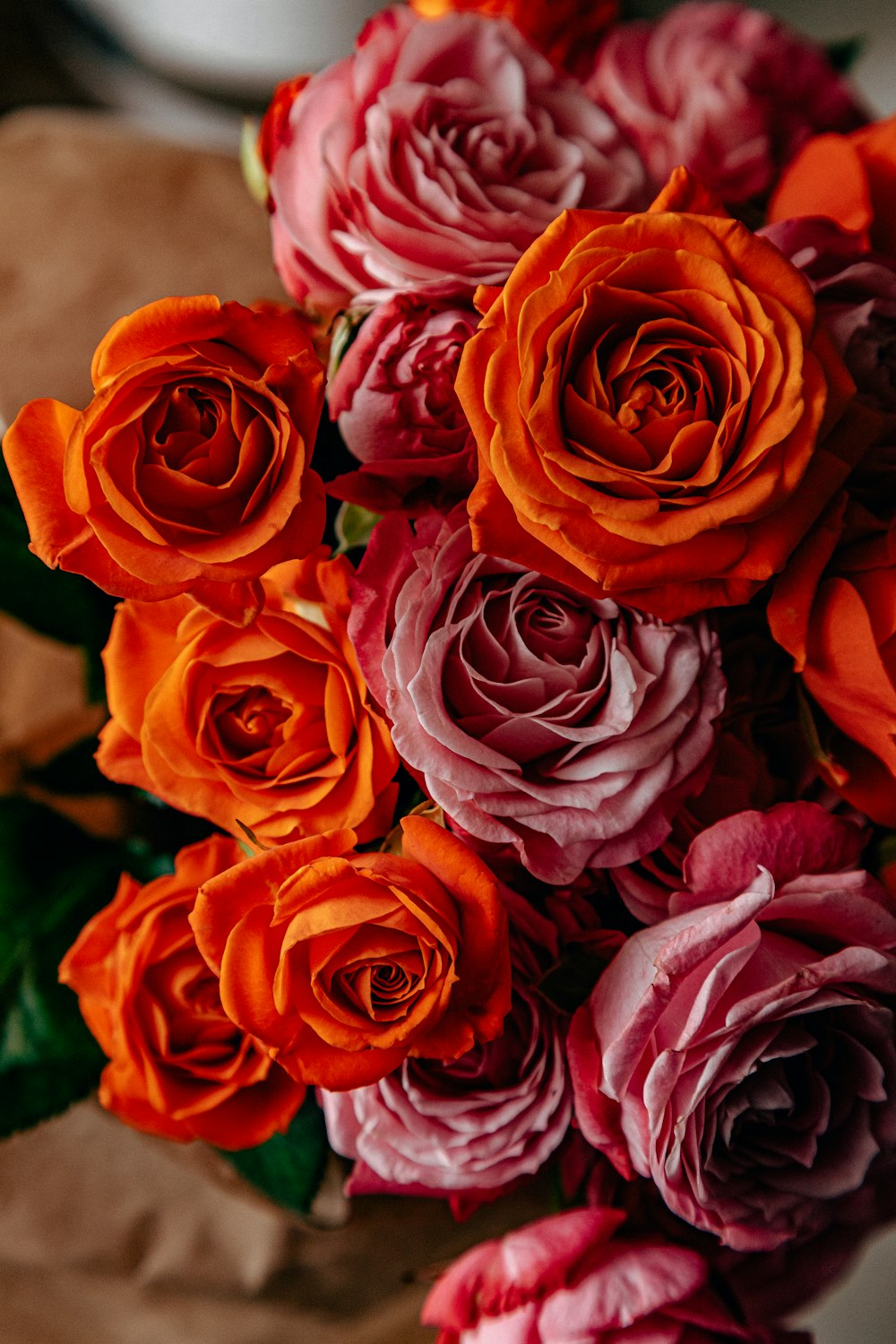 red roses in close up photography