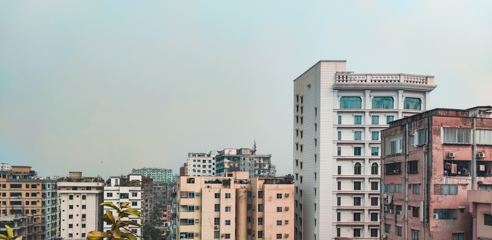 bâtiment en béton blanc pendant la journée