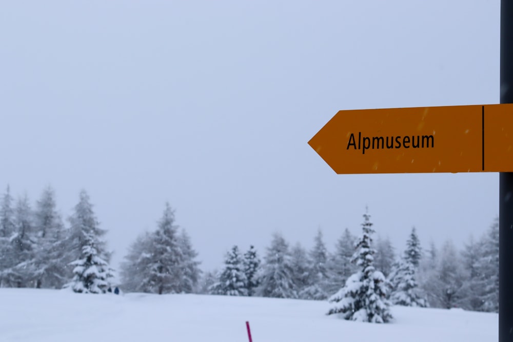 orange and white road sign on snow covered ground