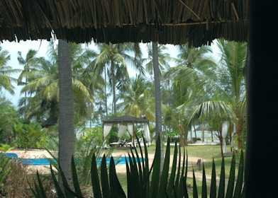A tropical outdoor scene with tall palm trees, a thatched-roofed lounge area, and a swimming pool. Lounge chairs are visible under a gazebo draped with white curtains. The background features more palm trees and a view of the ocean.