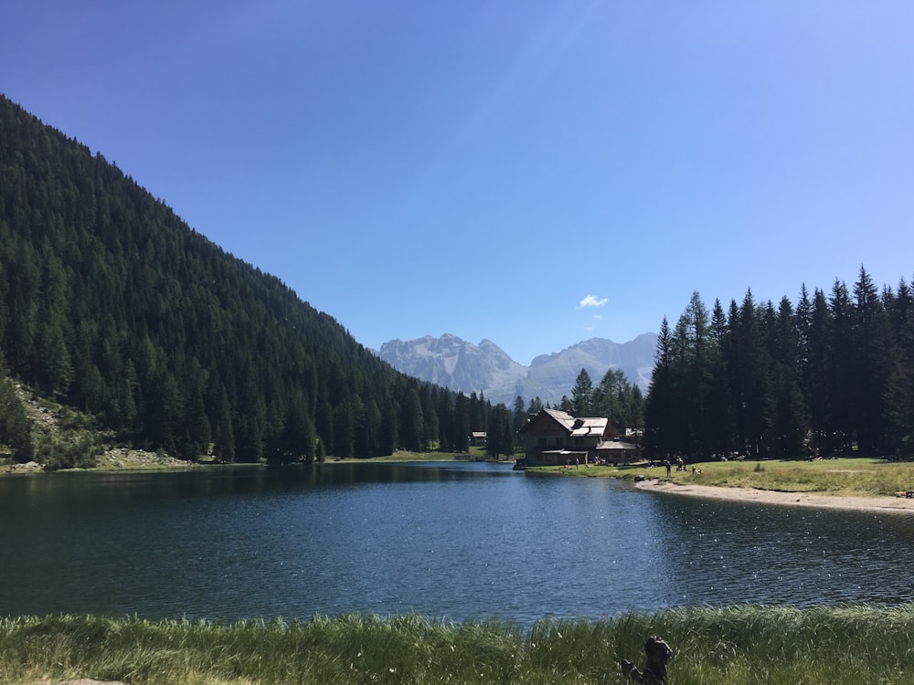 green trees near lake under blue sky during daytime