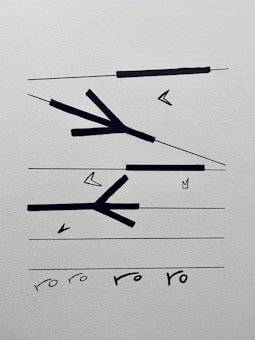 Abstract geometric shapes consisting of thick black lines and arrows intersecting on a white background. Lines are arranged parallel and in a branching pattern with some angles pointing in different directions. At the bottom, the letters 'ro ro ro ro' are handwritten.