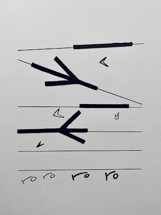 Abstract geometric shapes consisting of thick black lines and arrows intersecting on a white background. Lines are arranged parallel and in a branching pattern with some angles pointing in different directions. At the bottom, the letters 'ro ro ro ro' are handwritten.