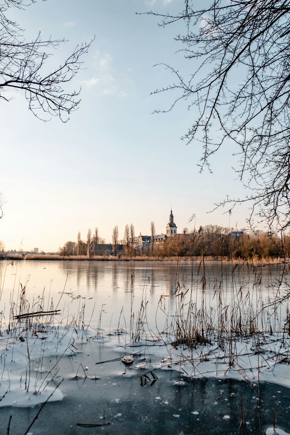 body of water near trees during daytime