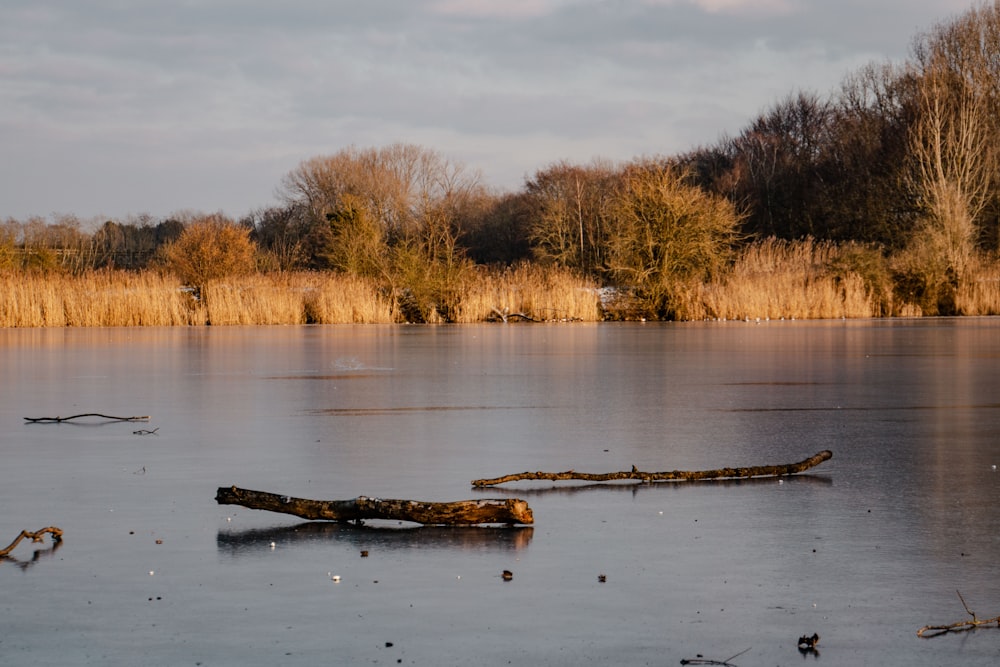 brown wooden boat on lake during daytime