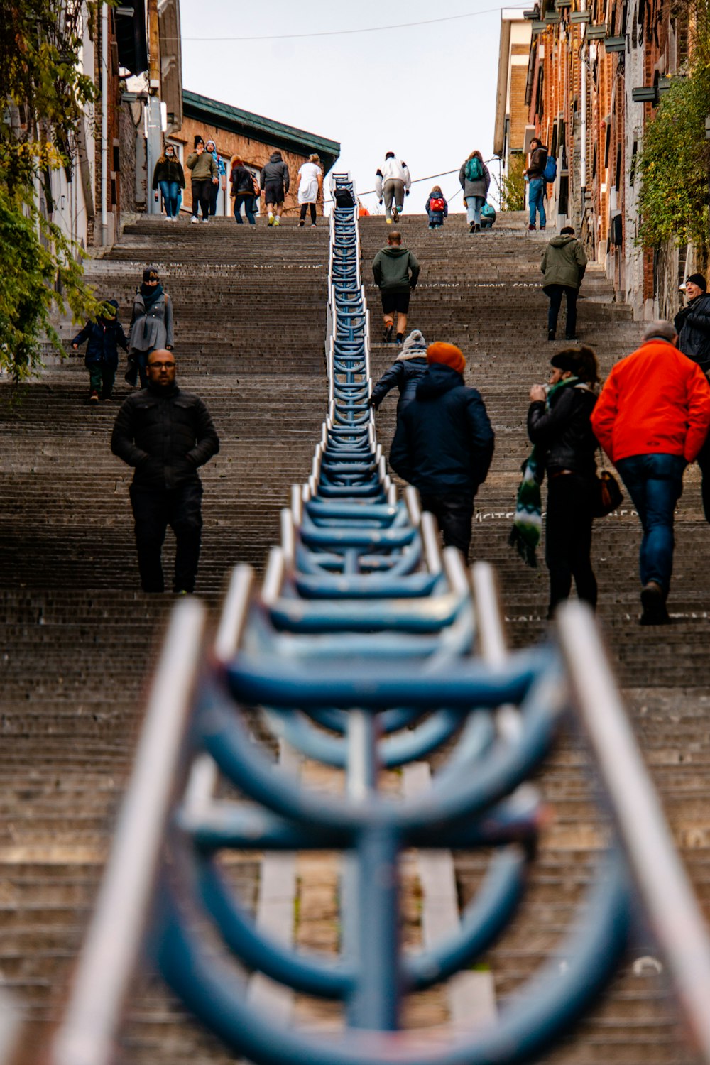 people walking on pathway during daytime